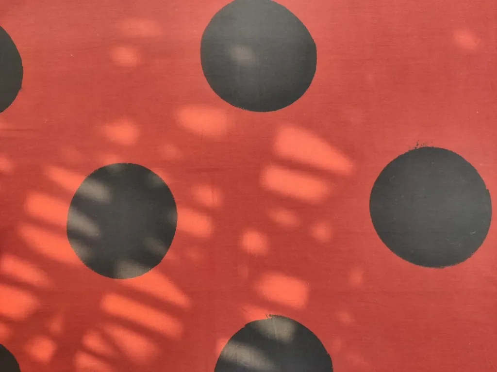 WhatsApp Image 2026-02-16 at 9.44.38 PM (1).webp